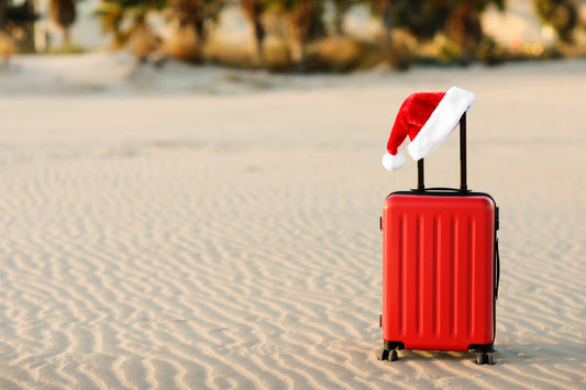 COVID-19 Travel Tips for Christmas 2024: Flying Safely